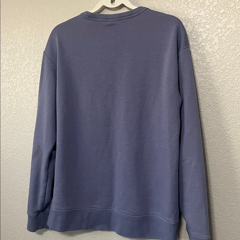 Nike skateboarding fleece pullover
